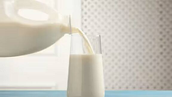 MIlk industry