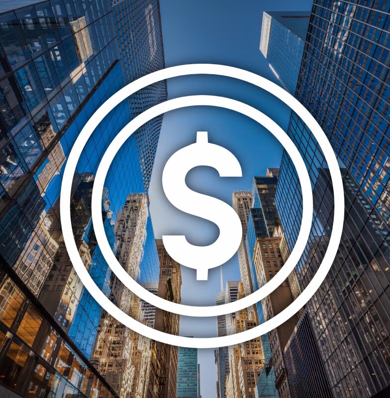 White dollar symbol